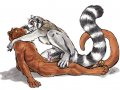 Fossa-Lemur.jpg