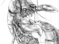Yes_A_Lobster_With_A_Trout_In_Bondage.jpg