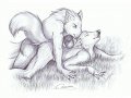 1185831836.redrumwolf_natures_love.jpg