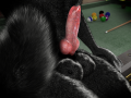 1378972857.kazuhirawolf_fluffy_balls.png