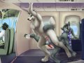 m_1389228260507.kyma_novembercommissionpilotfa.jpg