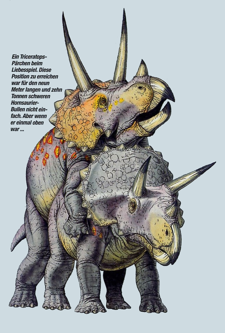 PM-triceratops_sex.jpg.