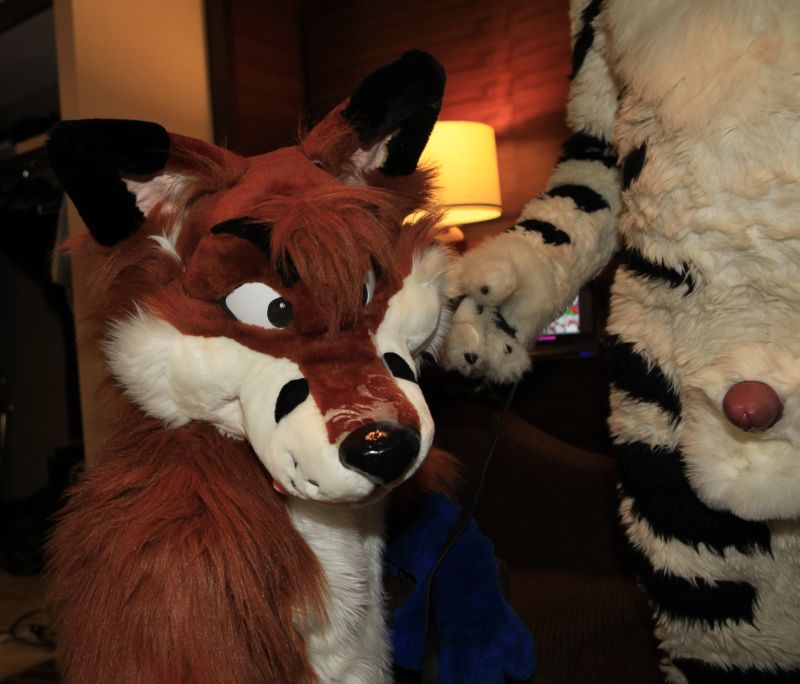 yiffing.in - Gallery: Fursuit.