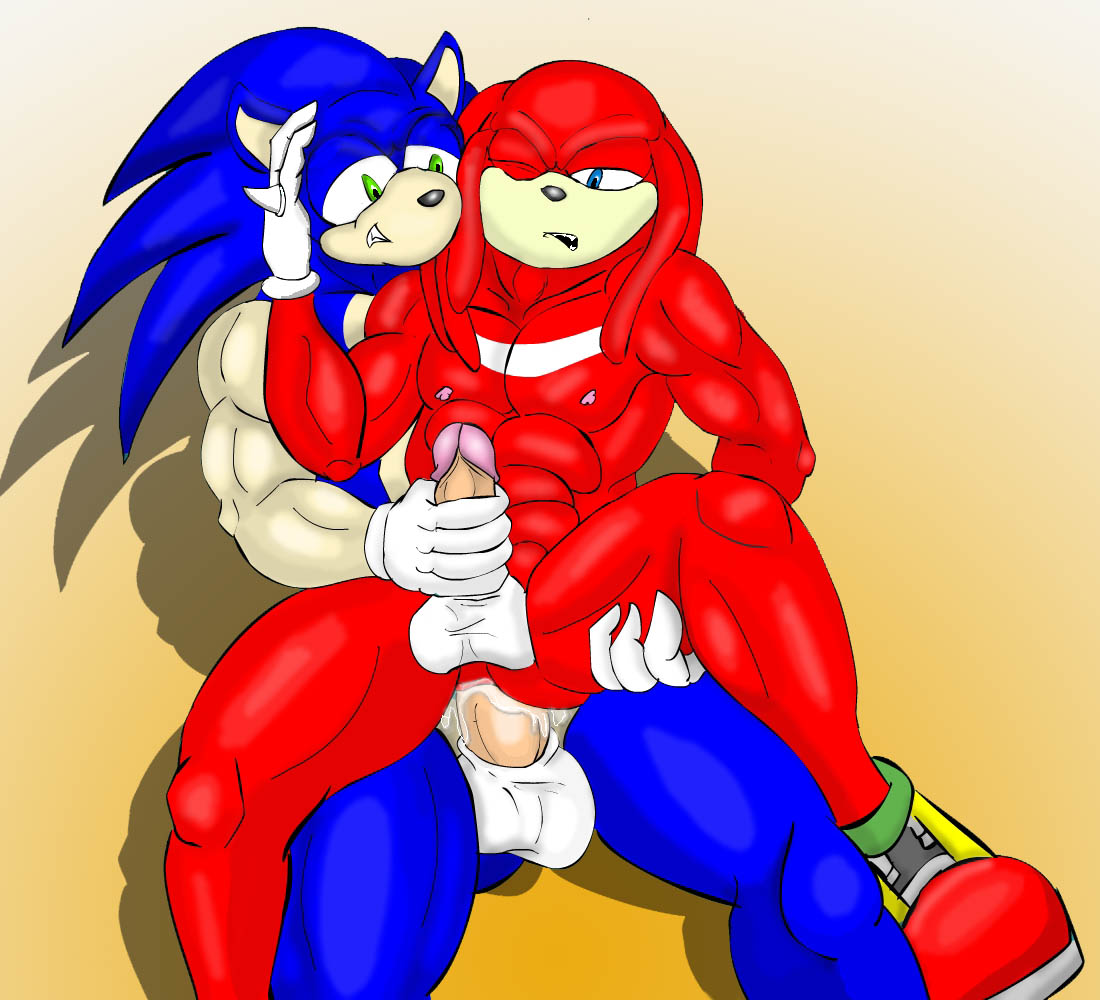 toon_1234114871639_Begami_Sonic_and_knuckles request SFB666.jpg.