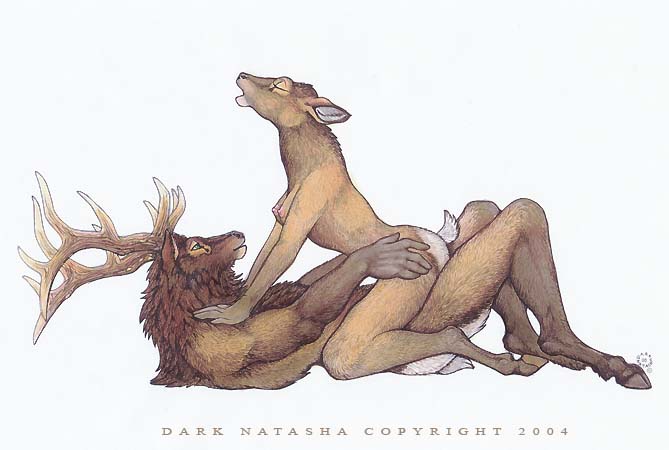 Deer fucking sex