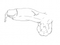 6fd86c45d4a2cedb7440932ccde023a6.png