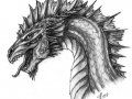 pencil_dragon_by_Black_Dragon_Club76876.jpg