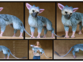 1497566436.nazegoreng_trico_the_last_guardian_art_doll_nazegoreng_by_nazegoreng_small.png