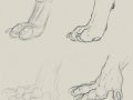 Paws_n__hands_by_Yellow_eyes.jpg