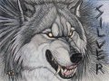 Silver_Badge_by_Goldenwolf.jpg