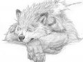 Sleeping_Arcanine_sketch.jpg