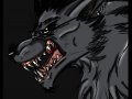 Wolf_Head_Practice_by_Rex_equinox.jpg