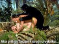 4608_tarzan.jpg