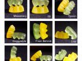 4772_Gummy_Bear_Kama_Sutra_by_PsychoBitches.jpg