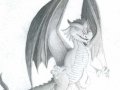 dragondrawn015.jpg