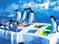 linux-tux-penguins-ice.jpg