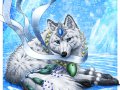 Beautiful_wolf_by_derSheltie.jpg