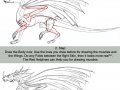 HowtodrawDragons01_Englisch.jpg