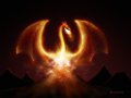 firedragon_1024x768.jpg