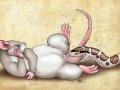 1281213804.urbanhermitdunfor_ratsnake14mf.jpg