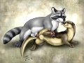 1281214126.urbanhermitdunfor_otterraccoon01mf.jpg