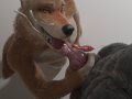 1556428087_virtyalfobo_fenwolf.jpg