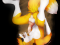 17f68f8801e9355469c38724ab9a3d19.png