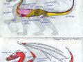 dragon_anatomy__wyldfire_by_wyldfire7-d4am41m.jpg